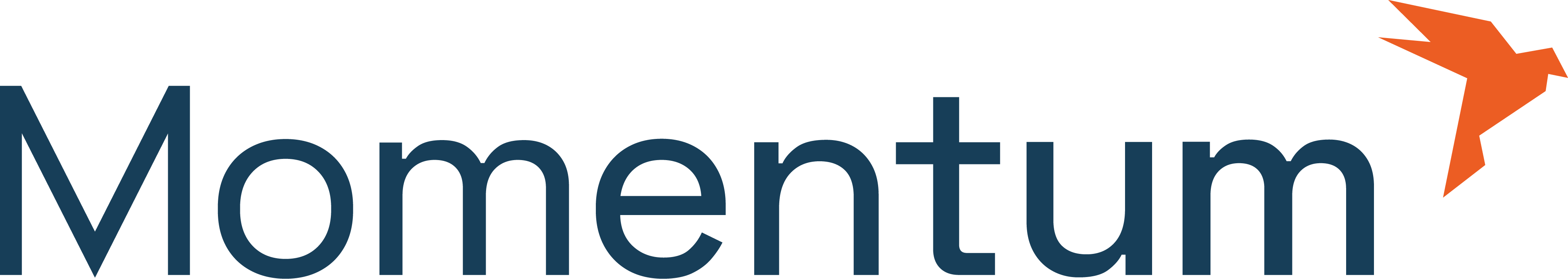 Momentum